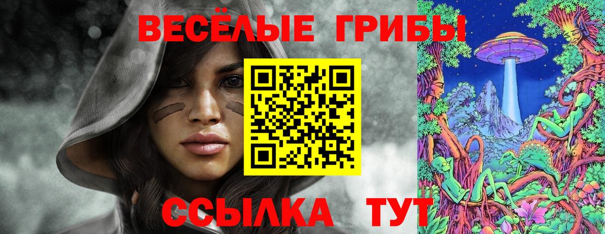Псилоцибиновые грибы Psilocybine cubensis Курчалой