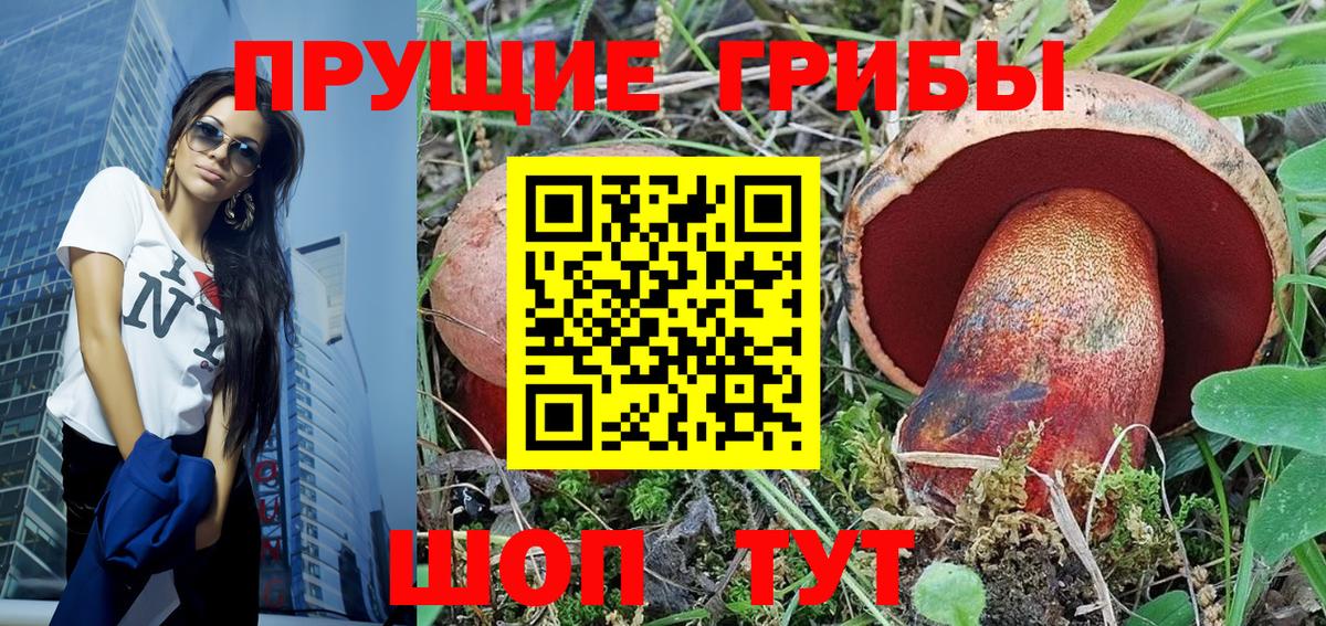 Галлюциногенные грибы Magic Shrooms  Галлюциногенные грибы прущие грибы  Вход с VPN  Курчалой 
